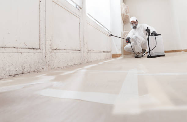 24/7 Emergency Mold Remediation experts in Hardyville, VA